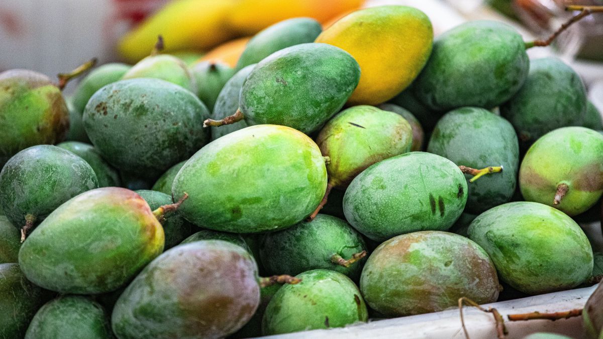 Control de etileno con plasma de aire para prolongar la vida poscosecha del mango.jpg
